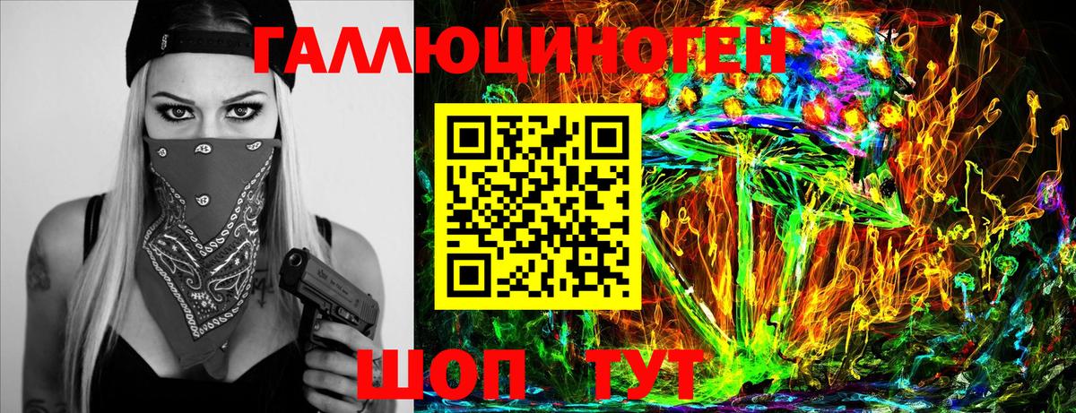 Псилоцибиновые грибы Psilocybe Вятские Поляны